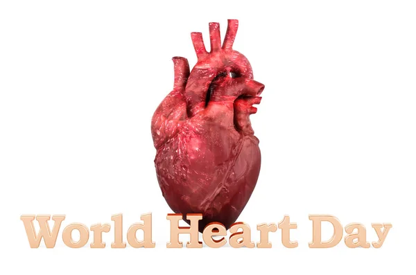 Παγκόσμια Ημέρα Καρδιάς Έννοια Απόδοση Απομονωμένη Λευκό Φόντο — Φωτογραφία Αρχείου