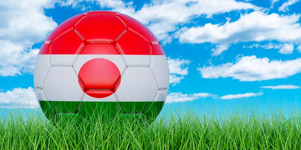 Pelota Fútbol Con Bandera Níger Hierba Verde Contra Cielo Azul — Foto de Stock