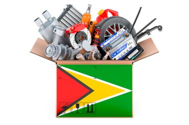 Paketin üzerine araba parçalarıyla Guyanese bayrağı boyanmış. Beyaz arkaplanda 3B görüntüleme izole edildi