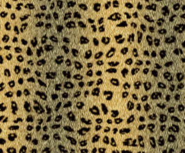leopar kürkü