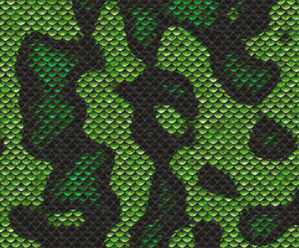 Змеиная кожа
