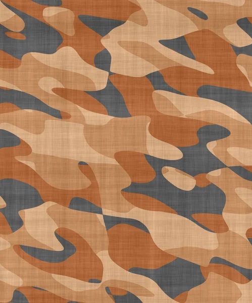 Modèle de camouflage — Photo