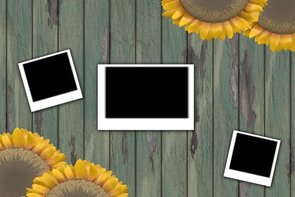 Sonnenblumen und Sofortbild — Stockfoto