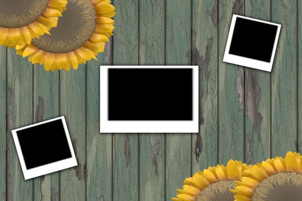 Sonnenblumen und Sofortbild — Stockfoto