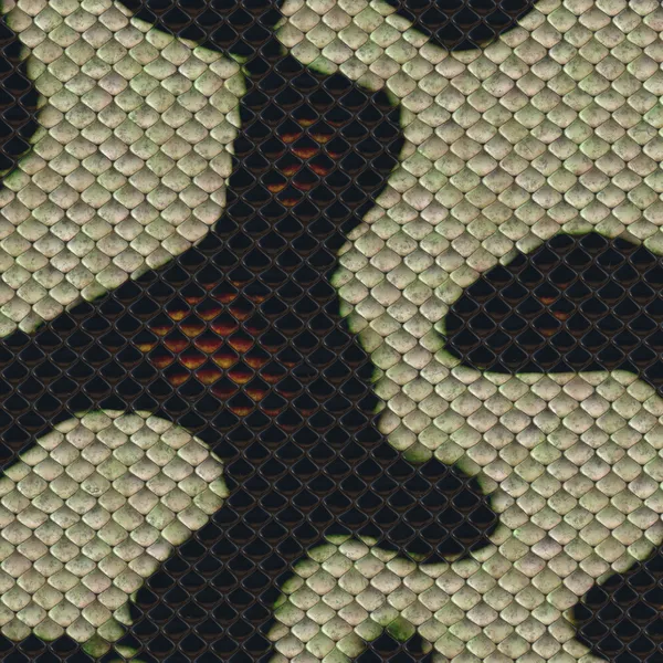 Yılan derisi arkaplanı