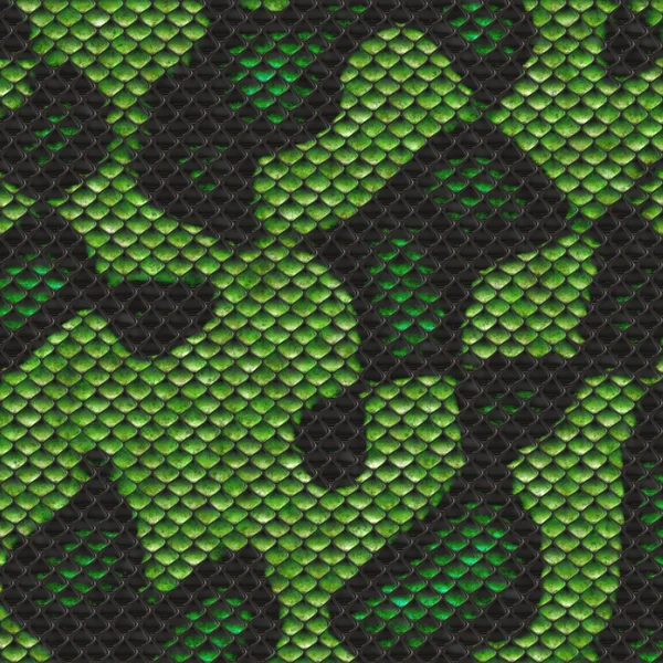 Texture pelle di serpente verde — Foto Stock