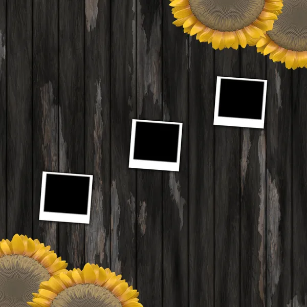 Sunflower and photo frame — Stock Photo, Image