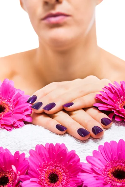 paarse nagels — Stockfoto © nilswey #48674013