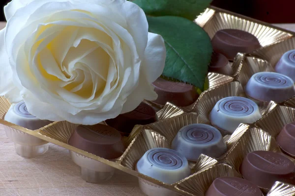 Шоколадные конфеты с белой розой — стоковое фото