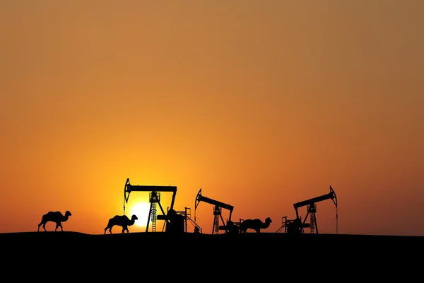 Sunset on oil fields with silhouette — Stock Photo, Image