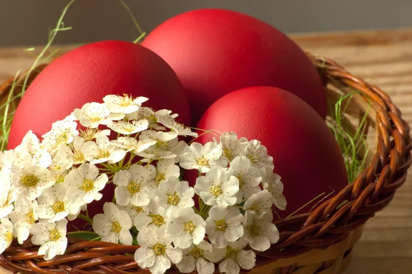 Uova di Pasqua con fiori primaverili Foto Stock Royalty Free