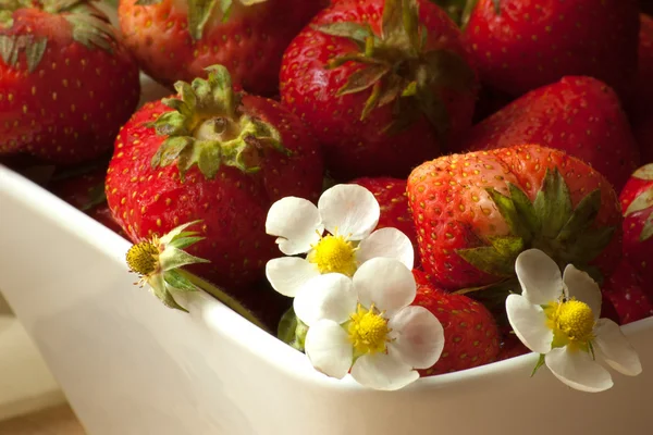 Erdbeeren in einer weißen Schüssel — Stockfoto