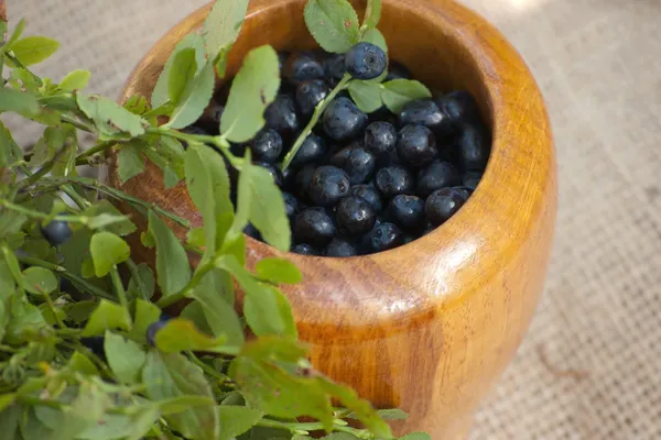 砂浆辨蓝莓和绿色的树叶 — 图库照片