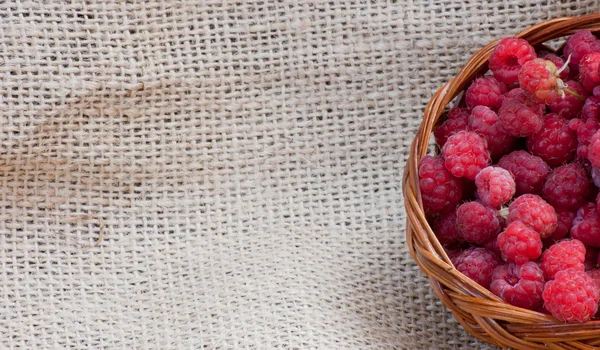 Rubus idaeus i en korg som isolerad på bakgrunden — Stockfoto