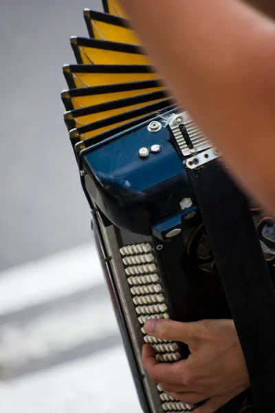 Side view of man playing the accordion — Stock Photo, Image