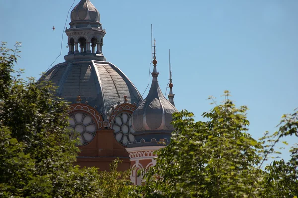 Крыша из румынской синагоги — стоковое фото