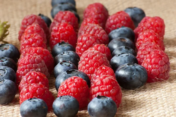 Verschiedene Beeren in Reihen — Stockfoto