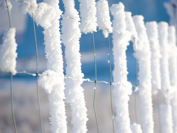 Frost on wire fence — Stock Photo, Image