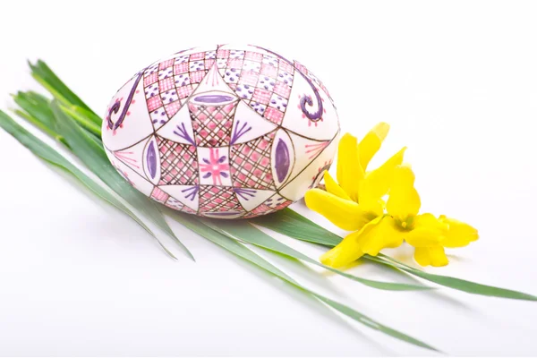 Egg with flower — Stock Photo, Image
