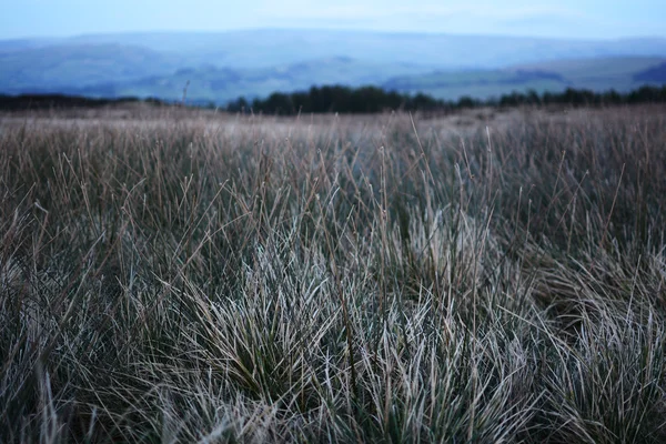 Τσαλαπετεινοί moorland χειμώνα στο peak district εθνικό πάρκο, Αγγλία — Φωτογραφία Αρχείου