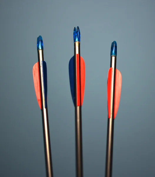 Archery arrows with a shallow depth of field — Stock Photo, Image