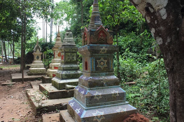 Monkey temple — Stock Photo, Image