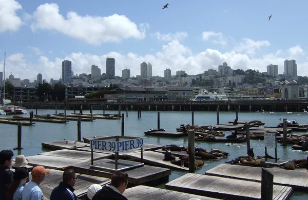 San Francisco — Foto Stock