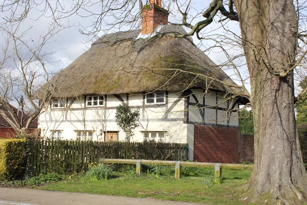 Thatched cottage