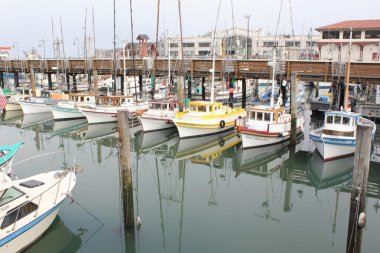 san francisco deniz araçları