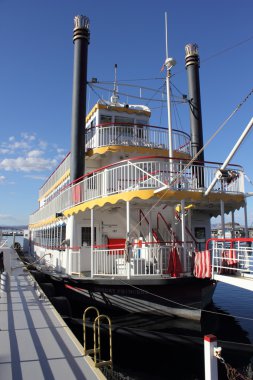 Kürek buharı