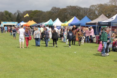 Yeni orman bahar Fuarı