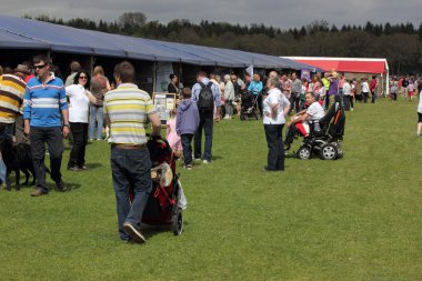 Yeni orman bahar Fuarı