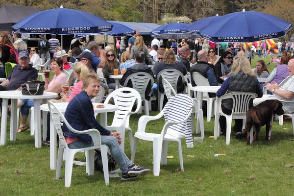 New forest spring fair — Stock Photo, Image