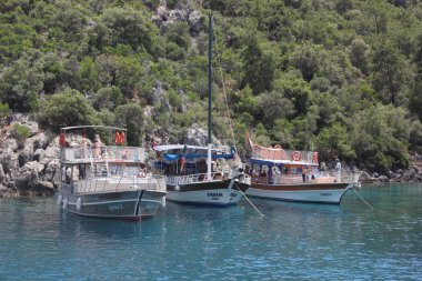 Tekne Turu