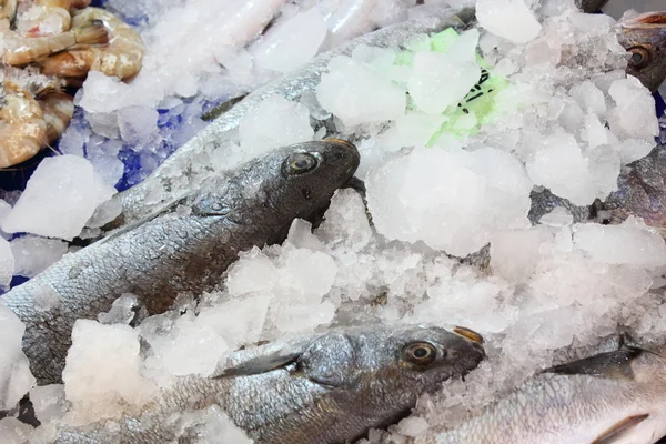 Mercado do peixe — Fotografia de Stock