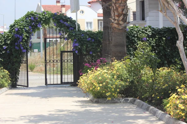 Arched gateway — Stock Photo, Image