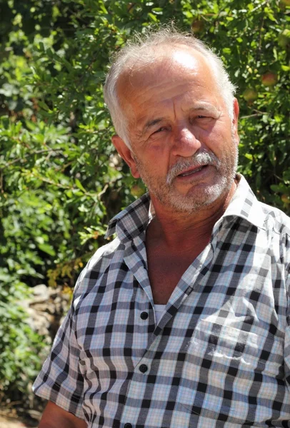 Turkish farmer — Stock Photo, Image