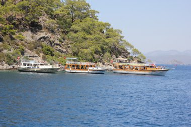 Tekne Turu