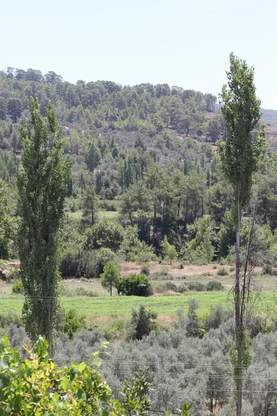 Турецкий пейзаж рядом с Фетхие, 2013 год — стоковое фото