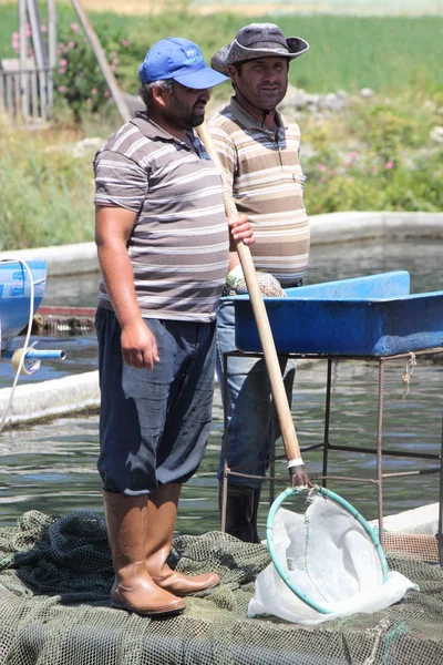 Trout farming — Stock Photo, Image