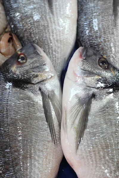 Mercado de pescado — Foto de Stock