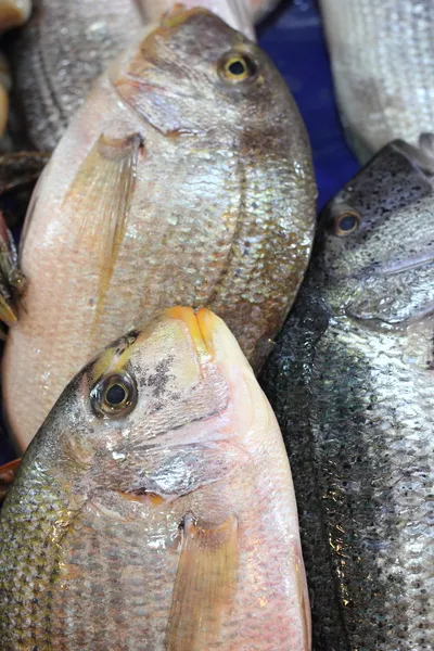 Mercado do peixe — Fotografia de Stock