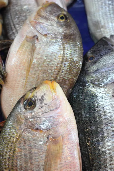 Fischmarkt — Stockfoto