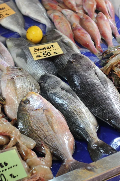 Marché aux poissons — Photo