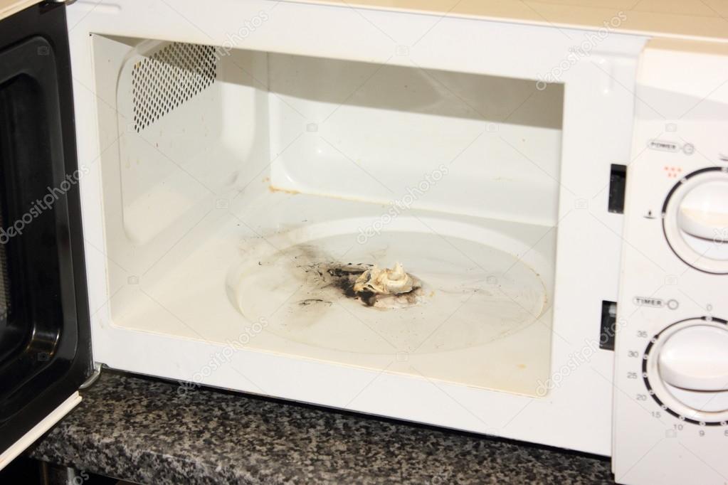Burnt out microwave