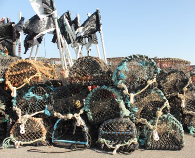 ıstakoz ve yengeç çömlek