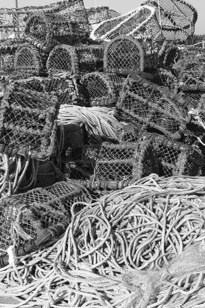 Lagosta e potes de caranguejo — Fotografia de Stock