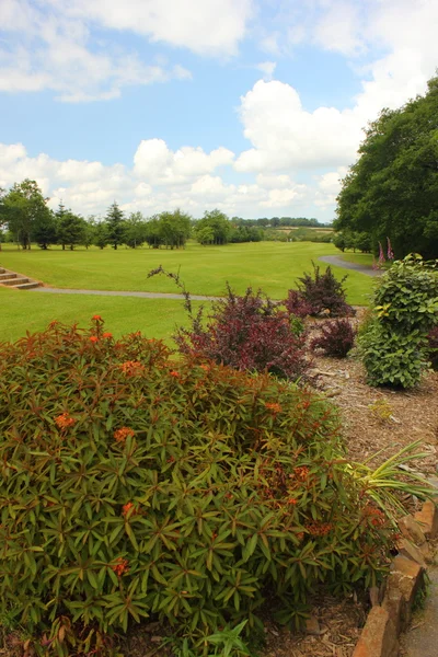 Campo da golf — Foto Stock