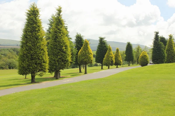 Golf course — Stock Photo, Image