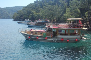 Tekne Turu